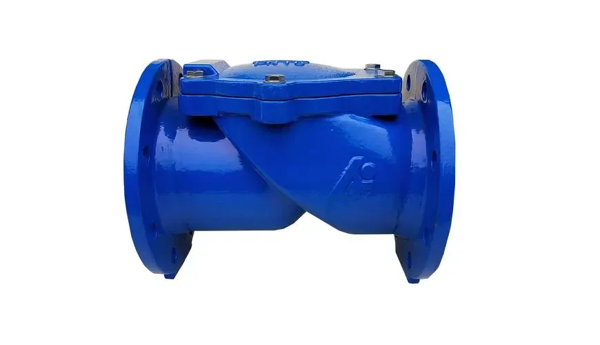 Lees meer oor Check Valve Assy